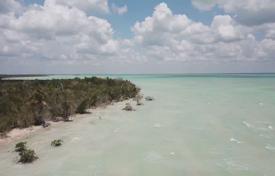 جزیره – Quintana Roo, مکزیک. $18,000,000