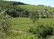زمین سرمایه گذاری Montalcino, ایتالیا. 6,000,000 €