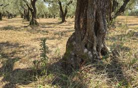 زمین تجاری Brtonigla, کرواسی. 230,000 €